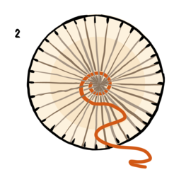 Illustrasjon av hvordan man vever med en rund pappvev.