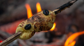 Bilde av lussekatt stekt på bål. 