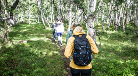 Speidere går på tur på en sti i skogen.