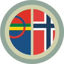Illustrasjon av aktivitetsmerket flagg for familiespeidere.