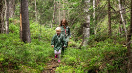 Speidere som løper i skogen.
