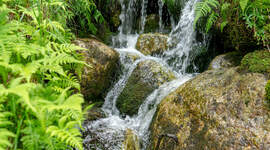 Illustrasjonsbilde av en bekk.