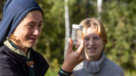 Speidere studerer et insekt.